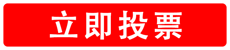 投票